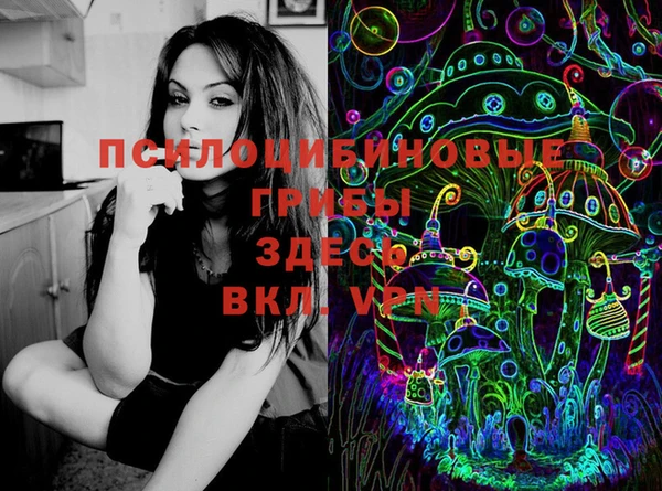 твердый Абаза