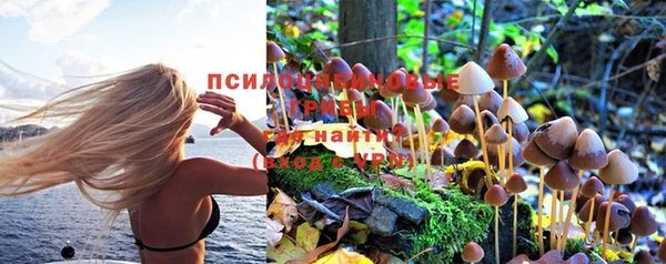 твердый Абаза