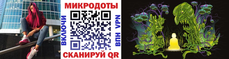 Псилоцибиновые грибы Psilocybe Темрюк